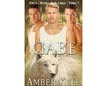 La meute de la lune > Tome 7 > Gabe > Amber Kell
