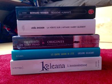 Confessions of a bookaholic #17 – Cadeaux Harry Potter et autres livres de littérature