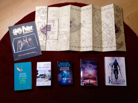 Confessions of a bookaholic #17 – Cadeaux Harry Potter et autres livres de littérature