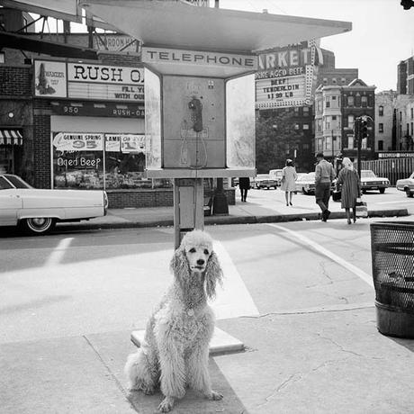 Vivian Maier, plus qu’une nounou, une photographe de talent