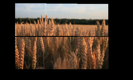 A l'abri de la différence : la couverture A l'abri de la différence : la couverture