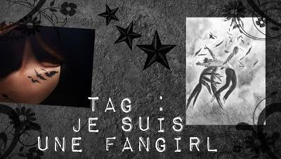 TAG : Je suis une fangirl