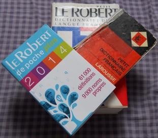 Dico or not dico ? + bilan