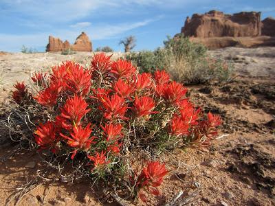 À la recherche de New Babylon: un western décoiffant