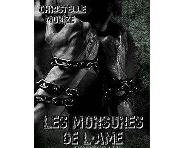 Mon avis sur Les morsures de l'âme, l'intégrale de Christelle Morize