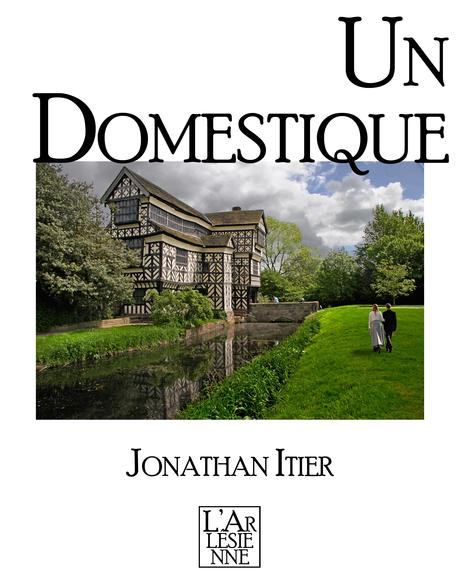 Mon avis sur Un domestique