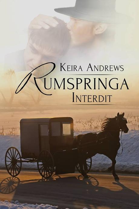 Mon avis sur Rumspringa interdit