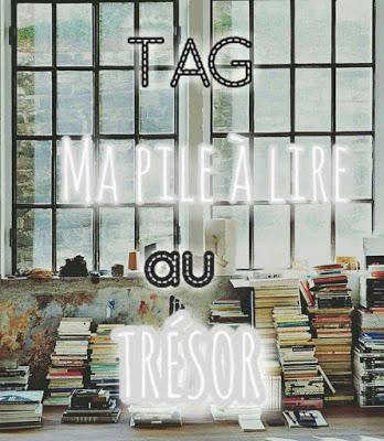 ❀ TAG • Ma pile à lire au trésor ❀