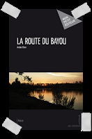 Affaire n°079: route Bayou