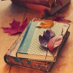 [Bilan mensuel] – Septembre 2015