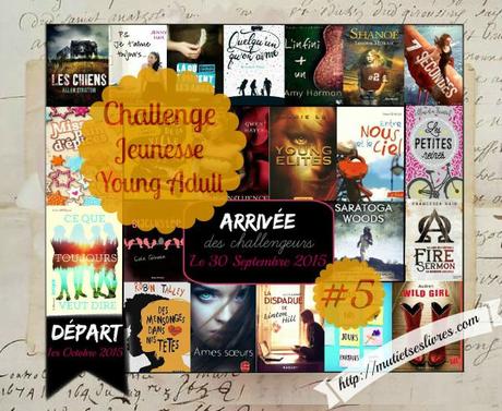 Challenge jeunesse/Young adult