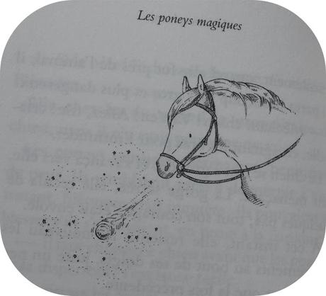 Les poneys magiques/ les chatons magiques - Editions POCKET JEUNESSE