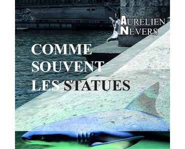 Comme souvent les statues > Aurélien Nevers