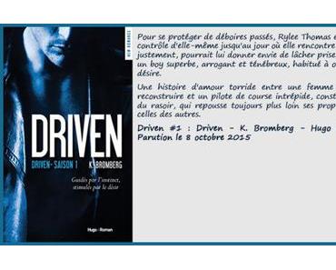 Driven #1 : Diven – K. Bromberg