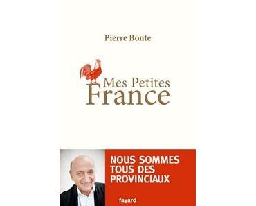 Mes petites France, Pierre Bonte