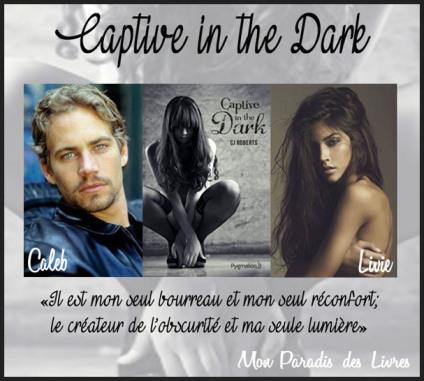 The Dark Duet #1 : Captive in the Dark – C.J. Roberts ♥♥♥♥♥♥
