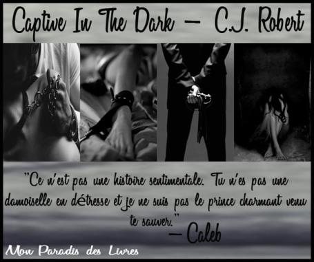 The Dark Duet #1 : Captive in the Dark – C.J. Roberts ♥♥♥♥♥♥