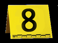 Affaire n°100 : Affaire n°100