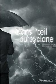 Ebook Gratuit – Dans l’œil du cyclone