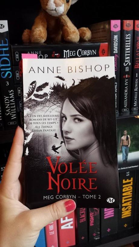 Meg Corbyn, tome 2 : volée noire