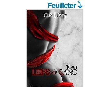 Mon avis sur Liens du sang, tome 1 de Callie J Deroy