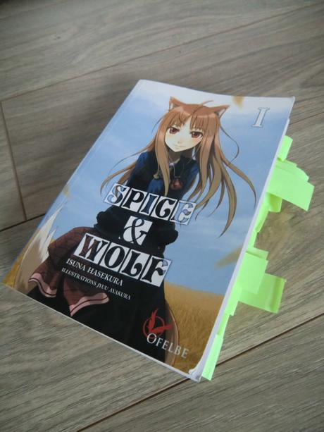 Spice&Wolf fini