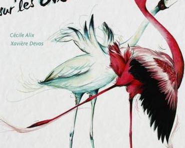 Coups de pinceau sur les oiseaux !