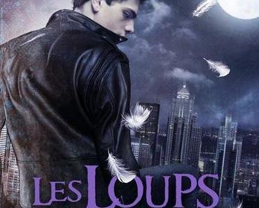 Les Loups de Riverdance, tome 1 : Lucas – H.V. GAVRIEL