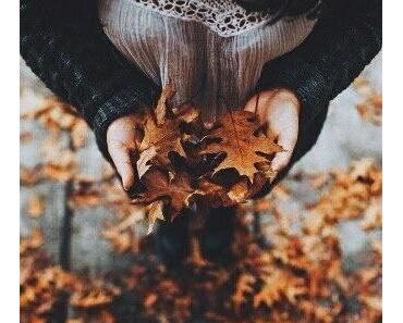 Découverte de la Semaine #2