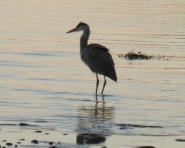 Ma traversée du pays fantôme, par Claude-Andrée L’Espérance…