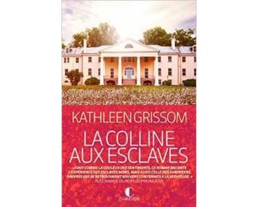« La Colline aux esclaves », roman puissant sur l’esclavage