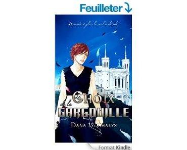 Mon avis sur le choix de la gargouille de Dana B. Chalys