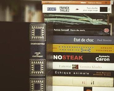 Ma pile à lire de décembre