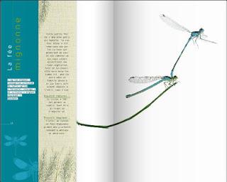 Grands formats pour aider Saint-Nicolas G-M