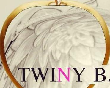 Zoom sur .... Twiny B, Auteur