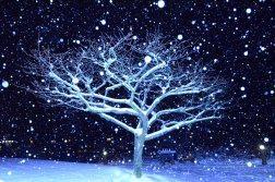 Un conte de Noël de Jean-Marc Ouellet…