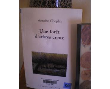 Une forêt d'arbres creux - Antoine Choplin