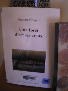 Une forêt d'arbres creux - Antoine Choplin