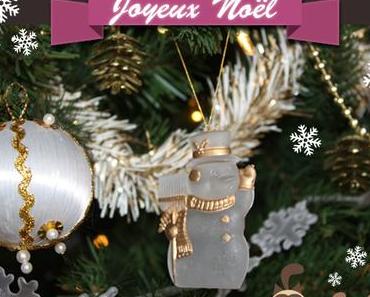 Joyeuses fêtes de fin d'année 2015 !