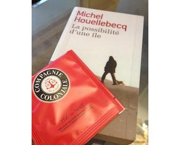 La possibilité d'une île, Michel Houellebecq