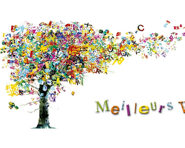 Adieu 2015 ... Bonjour 2016 !