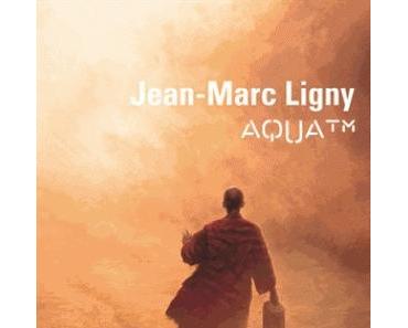 "Qu"importe si le chemin est long, du moment qu'au bout il y a un puits" (proverbe saharien).