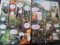 Elfes, tome 2: l'honneur des Elfes sylvainsJarry, Maconi ...