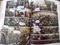 Elfes, tome 2: l'honneur des Elfes sylvainsJarry, Maconi ...