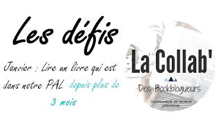 Défi de Janvier Défi de Janvier