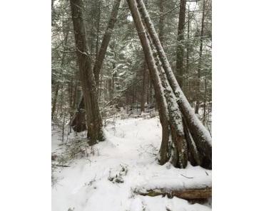 Ce matin-là… par Jean-Marc Ouellet…