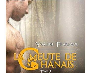 Mon avis sur La meute du Chanais tome 3: Faolan