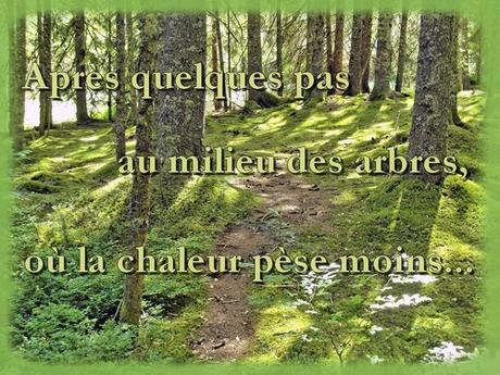 Marre des adultes (37)