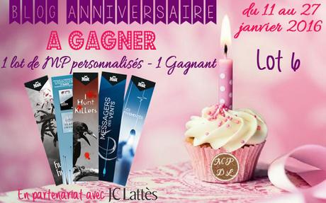 Anniversaire Blog – 1 An – Lot 6