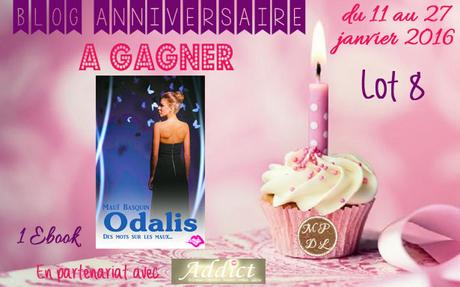 Anniversaire Blog – 1 An – Lot 8 Anniversaire Blog – 1 An – Lot 8